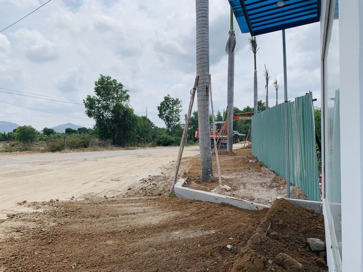 Tiến độ l&agrave;m cảnh quan c&acirc;y xanh tại Lic City