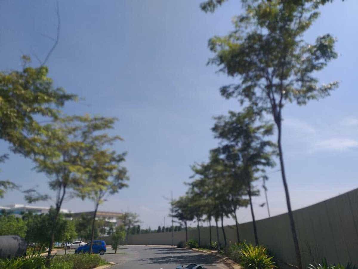hinh-anh-thuc-te-tai-du-an-west-gate-park-binh-chanh