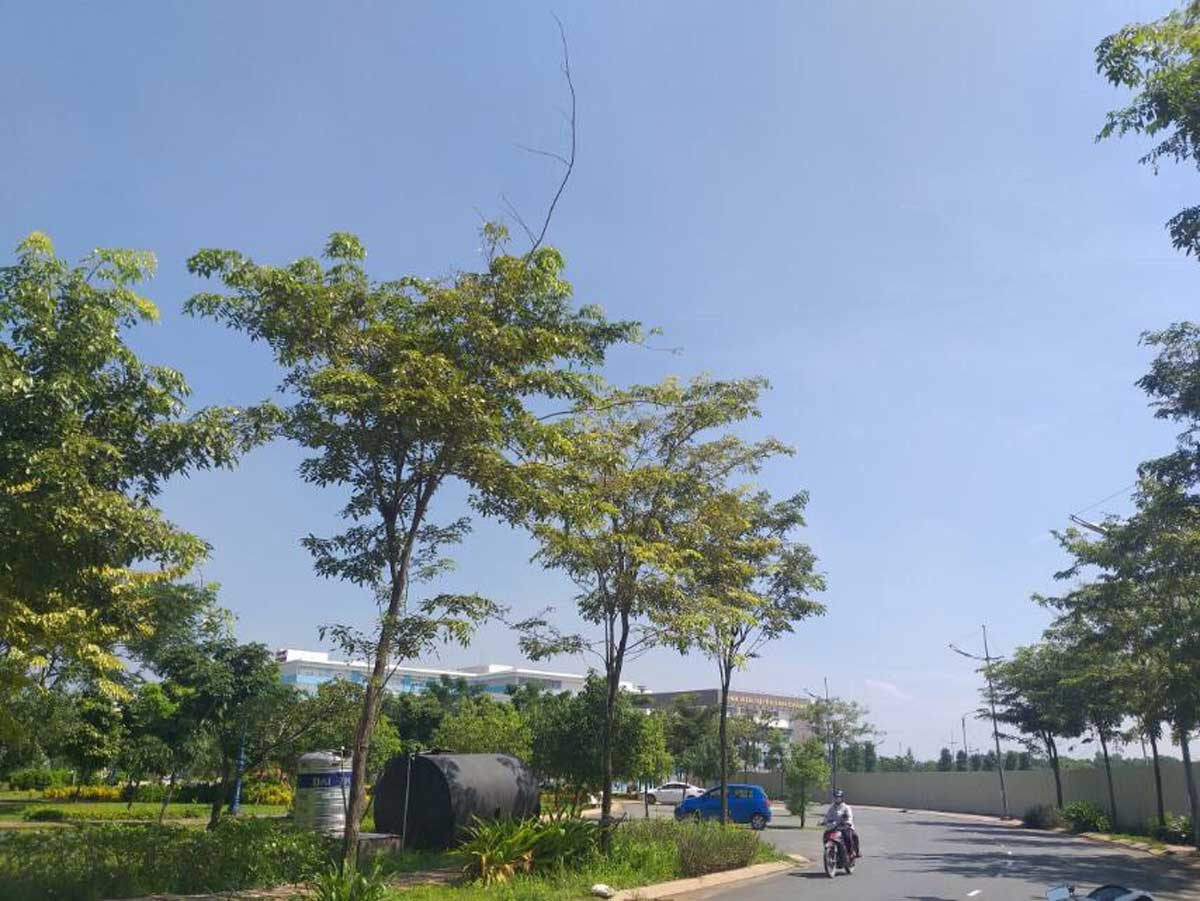 hinh-anh-thuc-te-tai-du-an-west-gate-park-tan-tuc