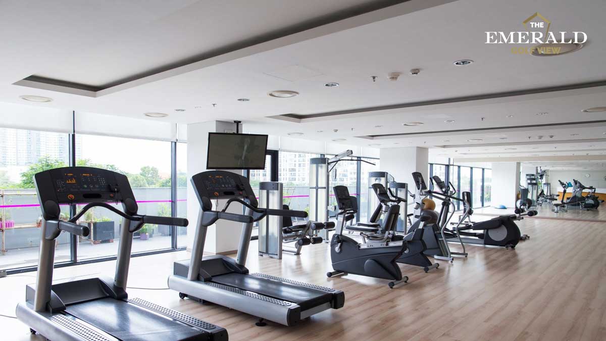 Ph&ograve;ng Gym The Emerald Golf View