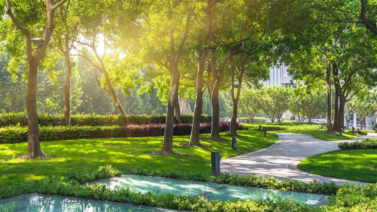 C&ocirc;ng vi&ecirc;n C&acirc;y xanh nội khu