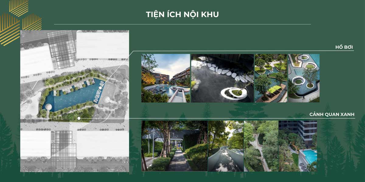 ANDERSON PARK BÌNH DƯƠNG tien ich noi khu ho boi va cong vien du an anderson park - ANDERSON PARK BÌNH DƯƠNG