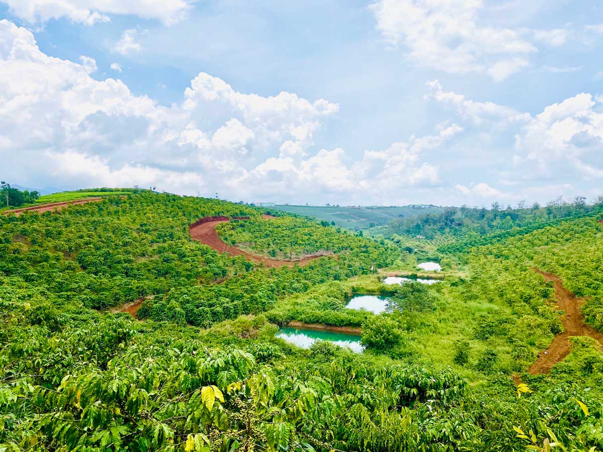 Hình ảnh thực tế La Nature Bảo Lộc Hình ảnh thực tế La Nature Bảo Lộc