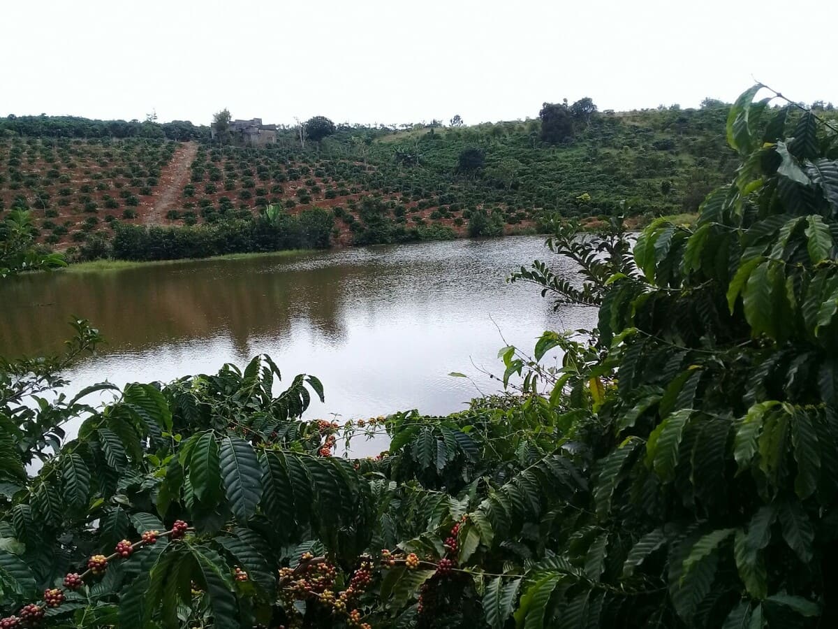 View 7300m2 đất tại Đinh Trang Ho&agrave; - Di Linh