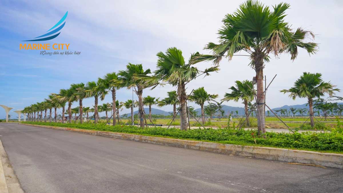 MARINE CITY BÀ RỊA VŨNG TÀU Tien do thi cong Du an Marine City Vung Tau - MARINE CITY BÀ RỊA VŨNG TÀU
