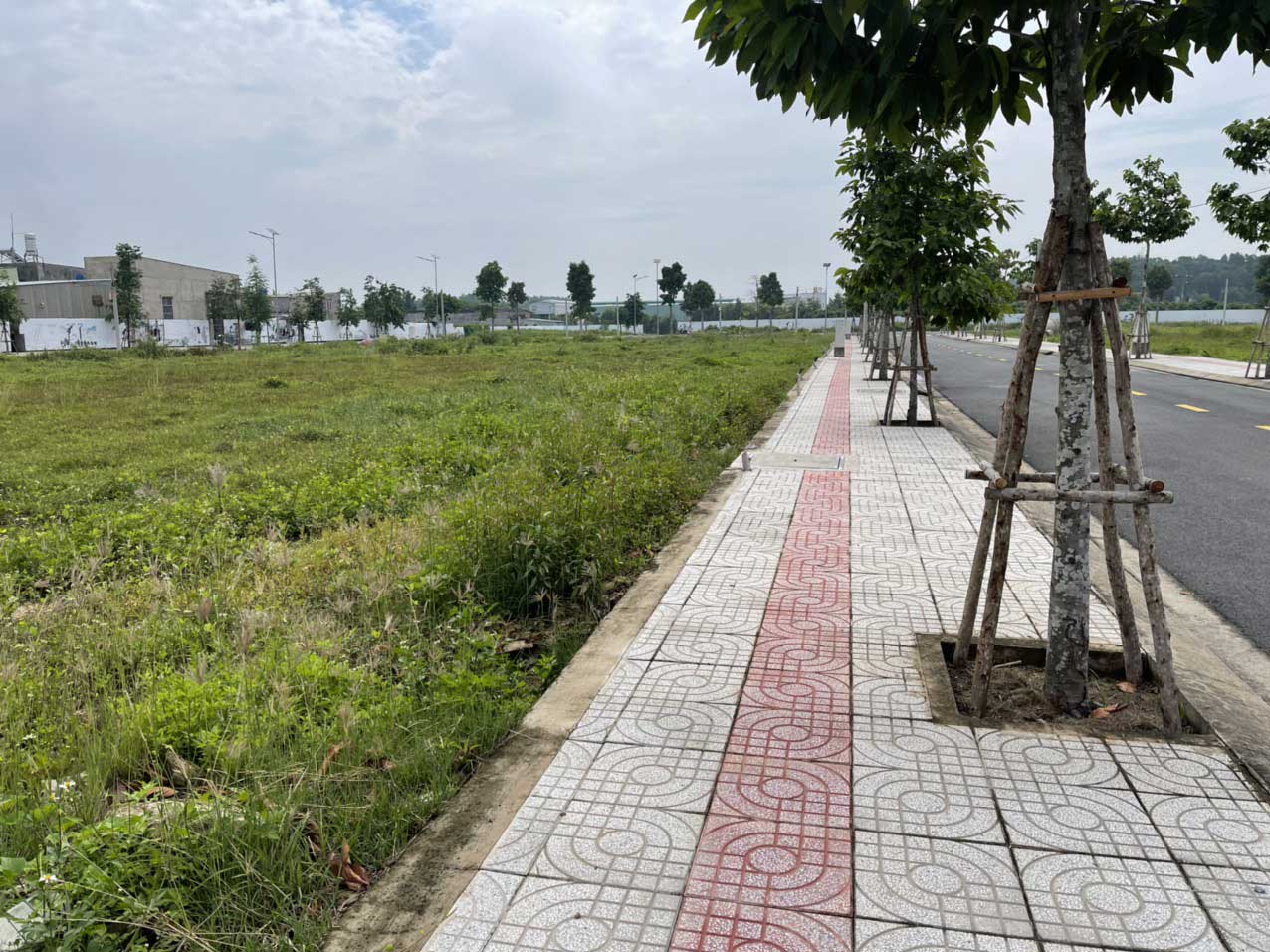 Tien do thi cong Du an Khu Dan Cu Gia Phu Binh Chanh 2022 - The Meadow B&igrave;nh Ch&aacute;nh