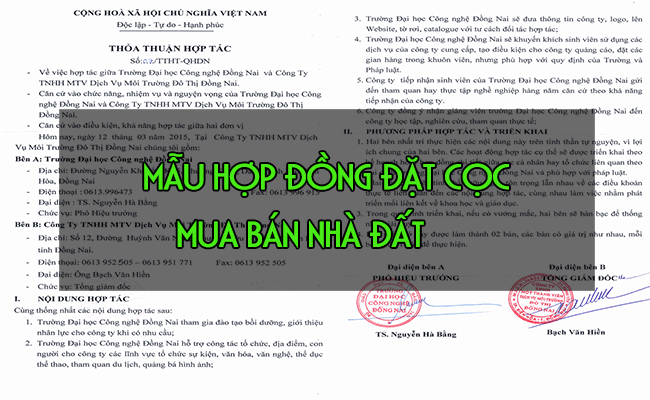 mau-hop-dong-dat-coc-mua-ban-nha-dat-2019